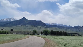 20199830