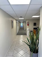 20308703
