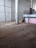 21809282