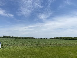 34096075