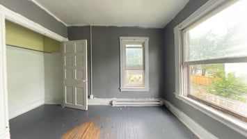 20259294