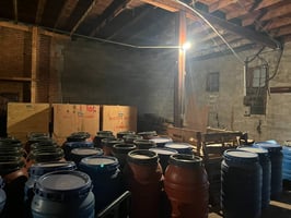 20264379