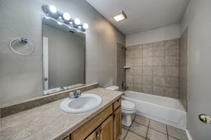 20273666