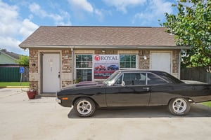20295982
