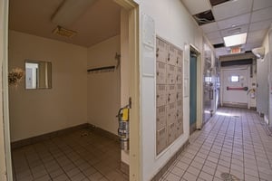 20295811