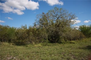 20298690
