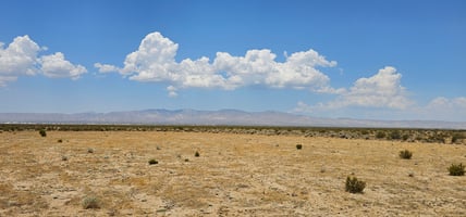 20535864