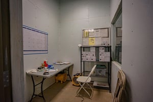 20317887
