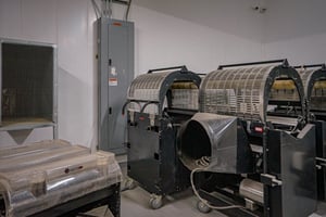 20317891