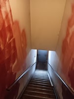 22838901