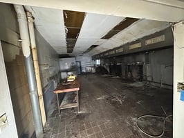 20355578