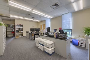 21256407