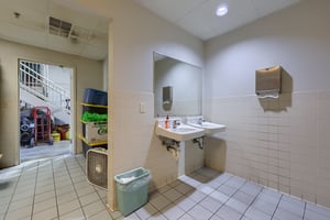 21256392