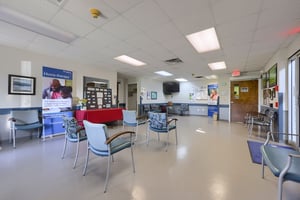 21256421