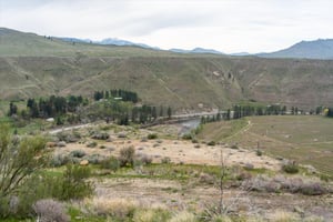 31698969