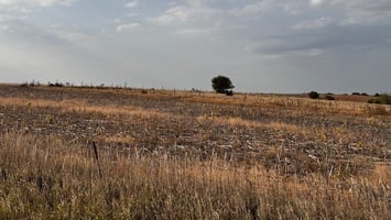 20763394