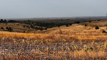 34022891