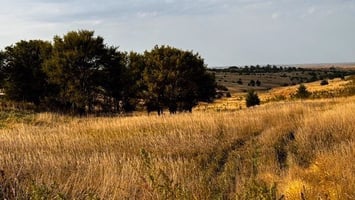 20763403