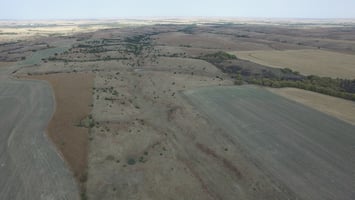 20763398