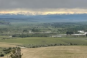 31348317