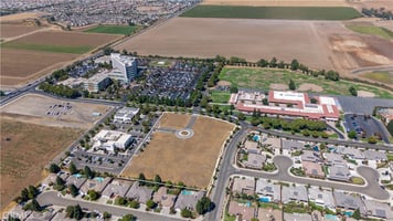 20447146