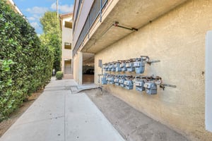 20436716
