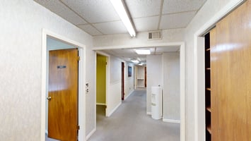 20465805