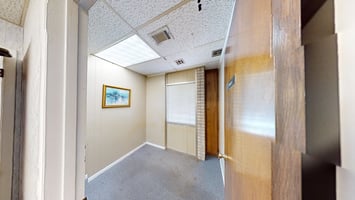 20465804