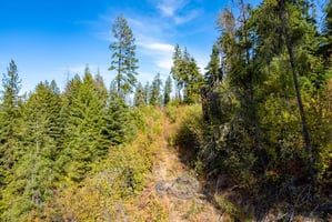 20481972
