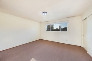 20497980