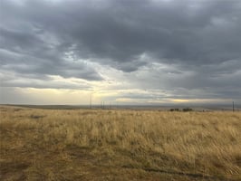 20501634