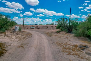 20524585