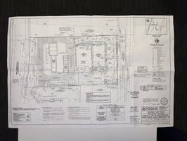 20524925