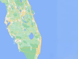 20524971
