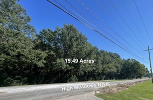 31164900