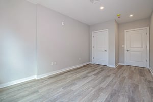 20542749