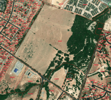 20543956