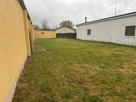 20555361