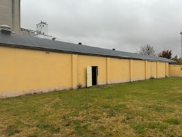 20555364