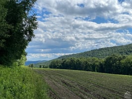 33411491