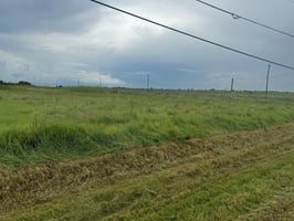 20574912
