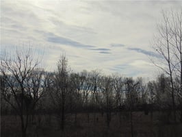 22509864