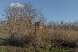 20635720