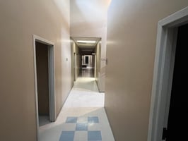 20645994