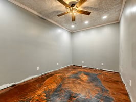 22338246