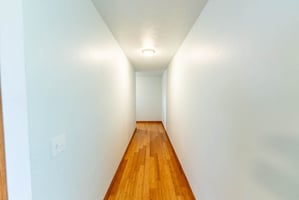 20663242