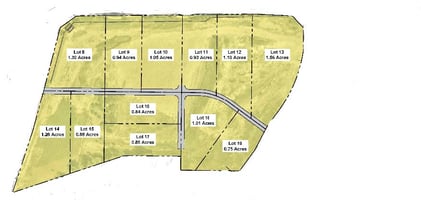 20695669