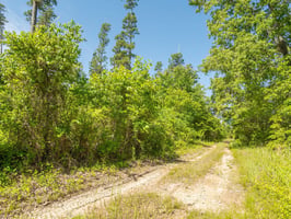 34173808