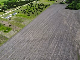 20716430