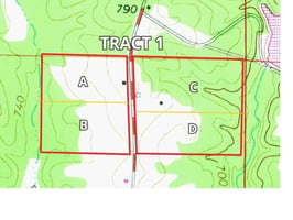 32795571